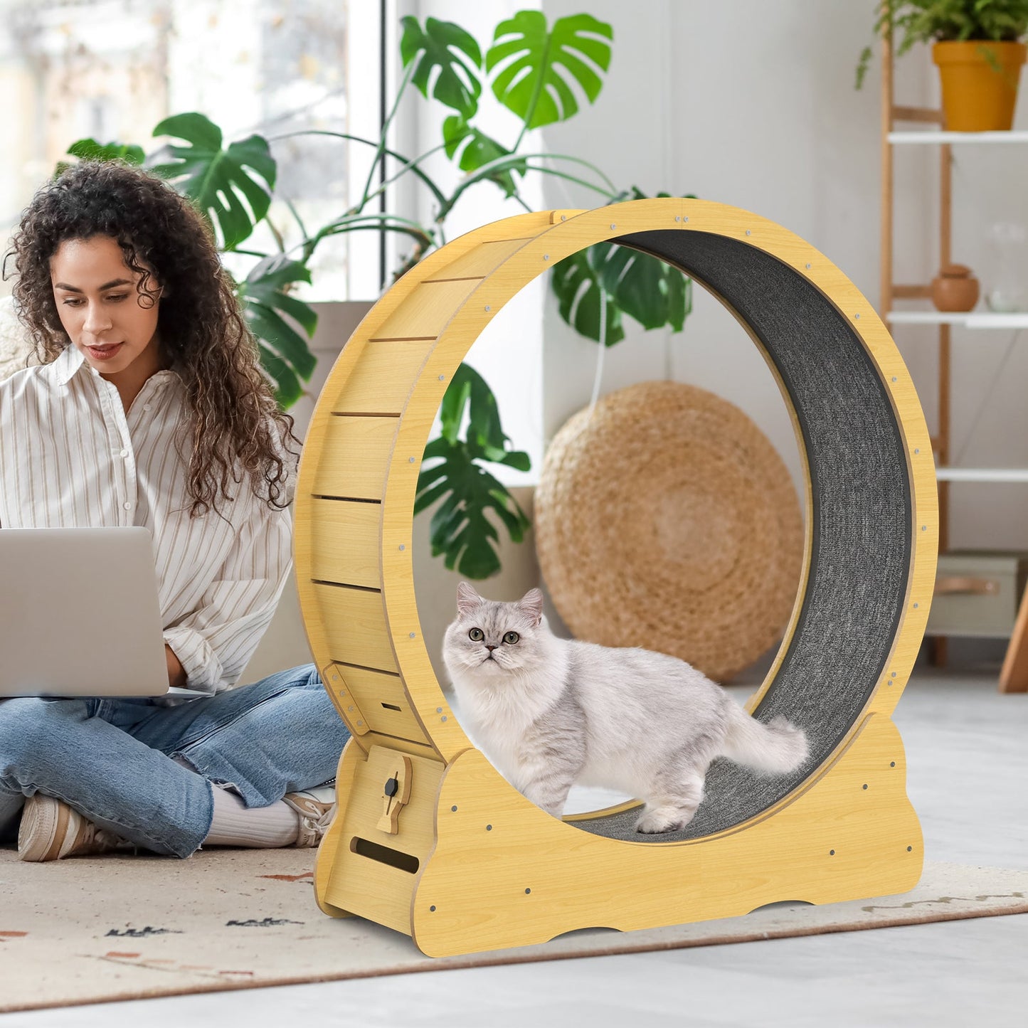 Advwin Cat Exercise Wheel Running Wheel