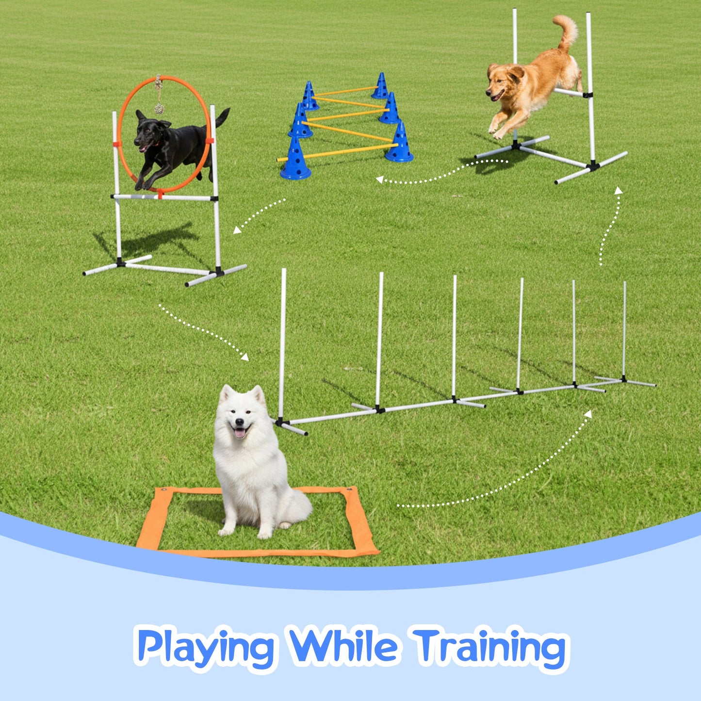 Advwin Agility Training Equipment for Dogs