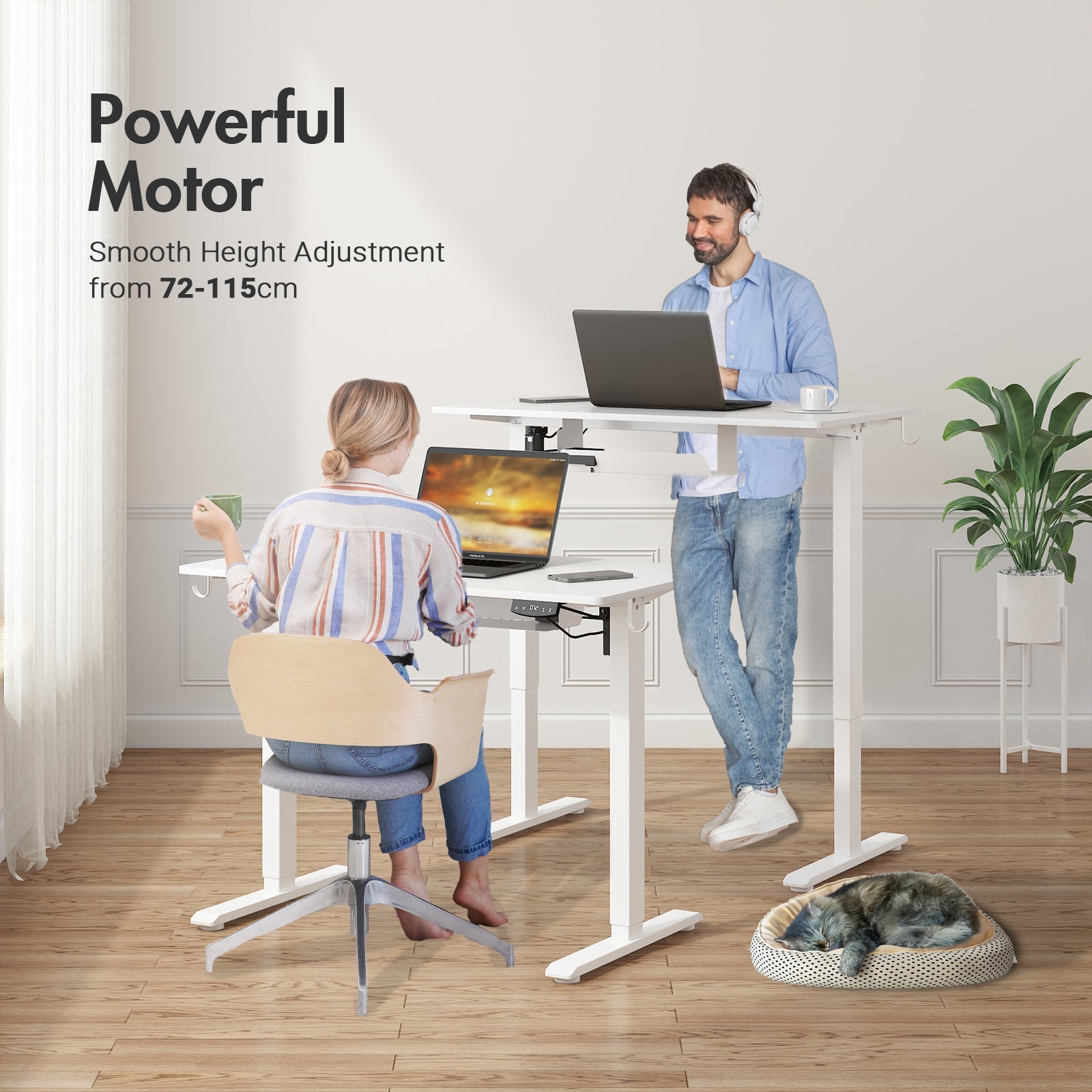 Advwin standing desk?