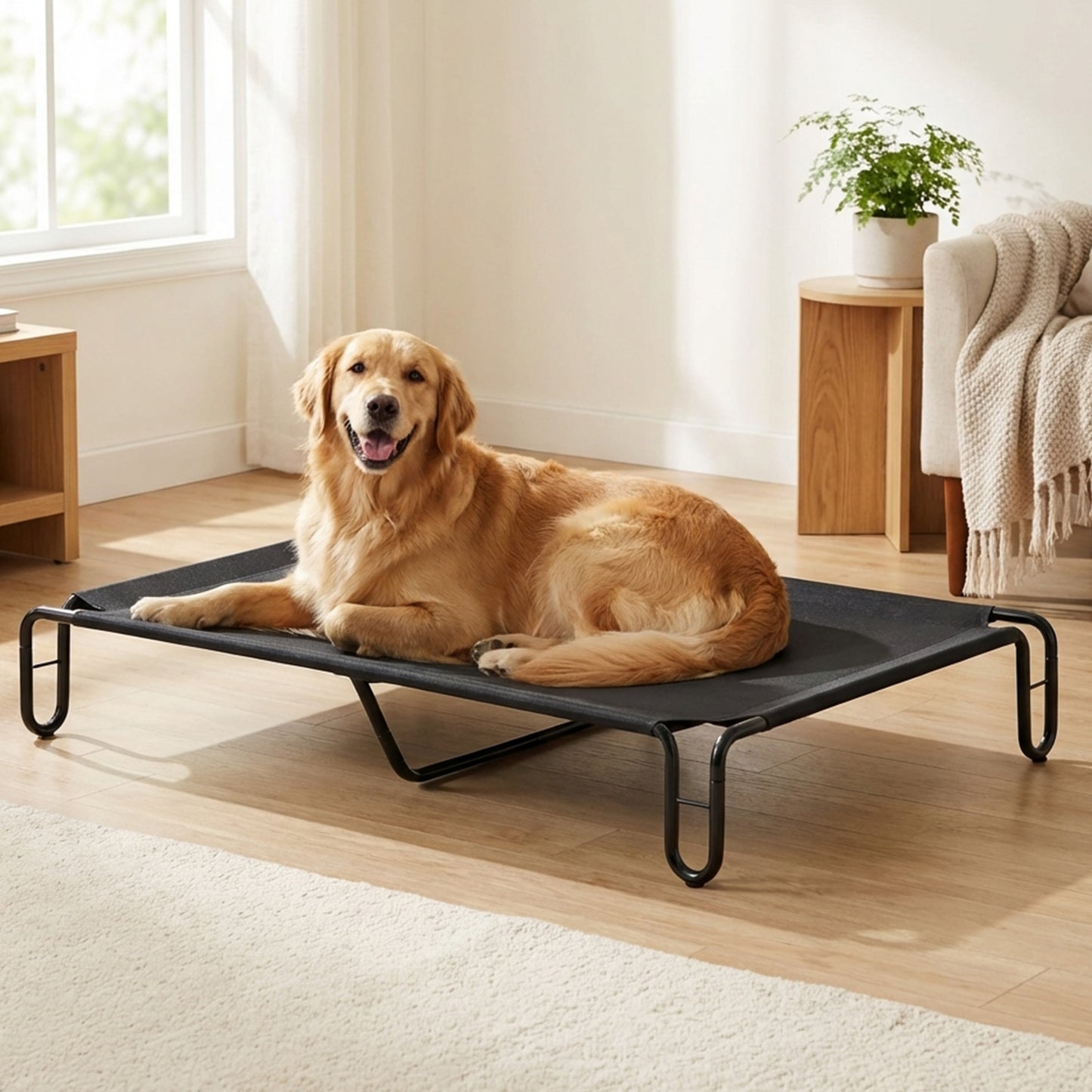 Advwin Elevated Dog Bed for Large Dogs