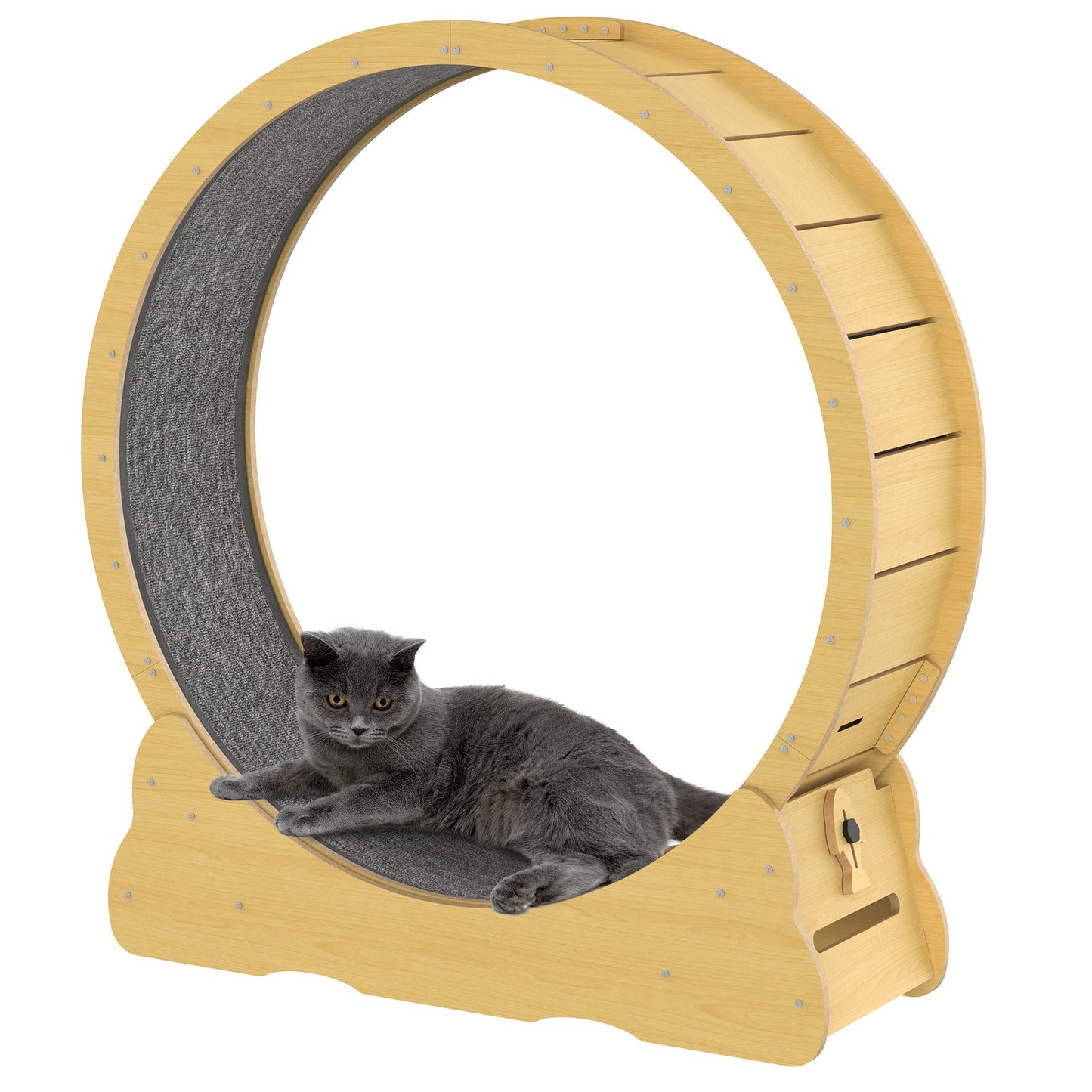Advwin Cat Exercise Wheel  Running Wheel