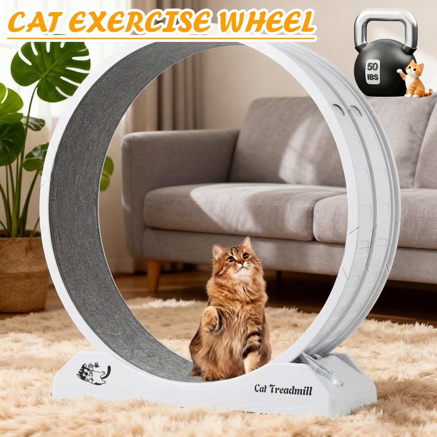 Advwin Cat Exercise Wheel for Running & Training