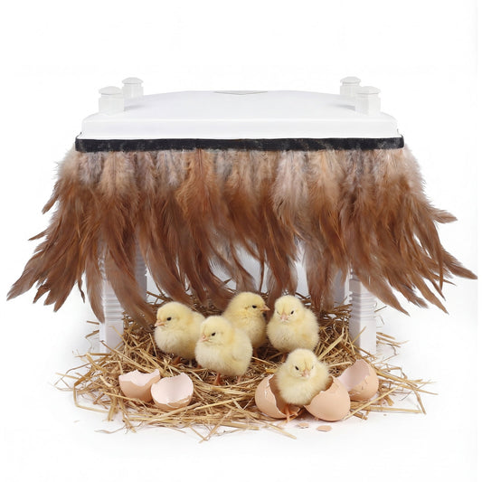 Advwin Chick Brooder Heating Plate