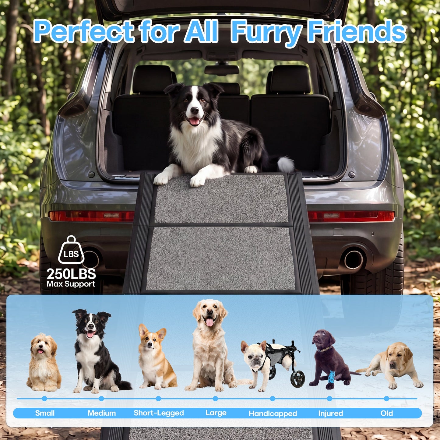Advwin 180cm x 44cm Folding Dog Ramp for Car