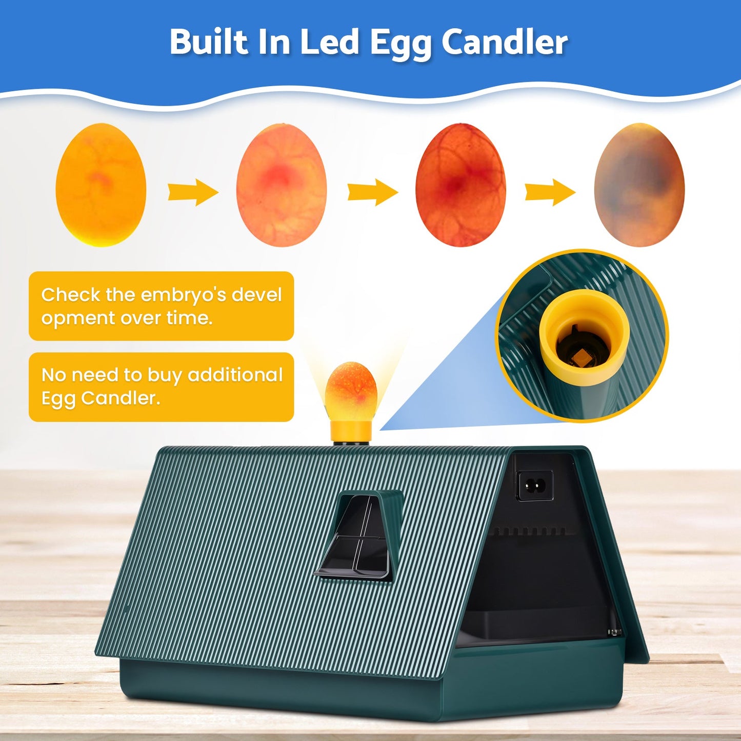 Advwin Incubators for Hatching Eggs