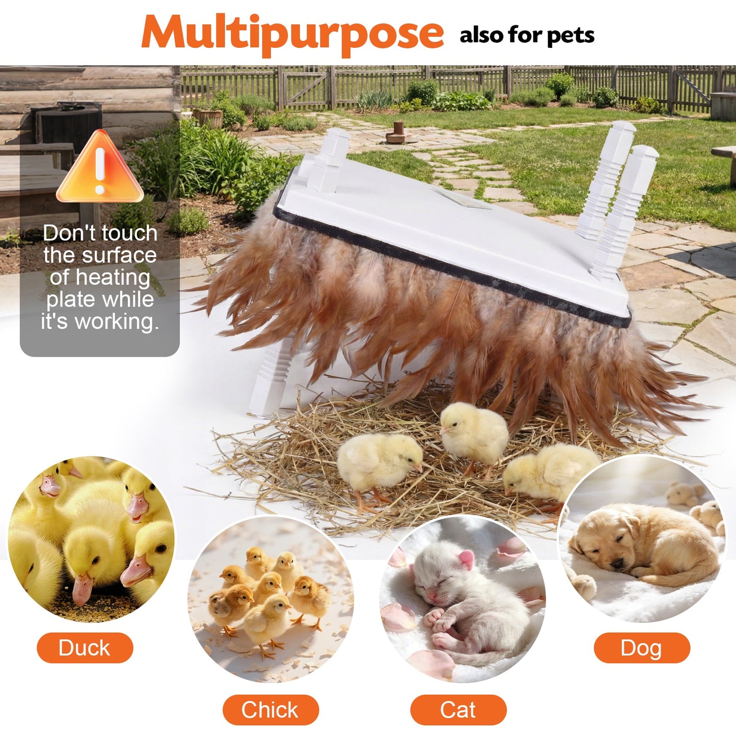 Advwin Chick Brooder Heating Plate