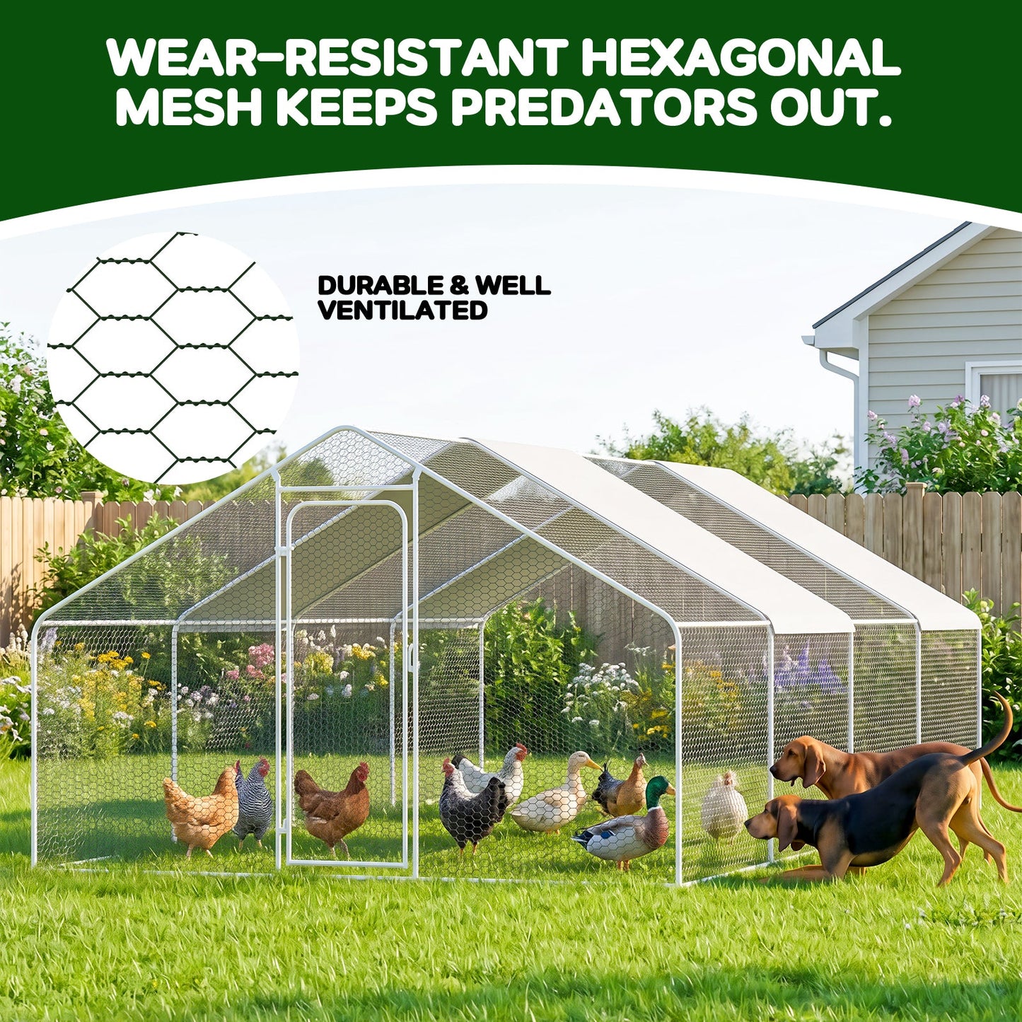 Advwin 6x3x1.95m Walk-in Metal Chicken Coop