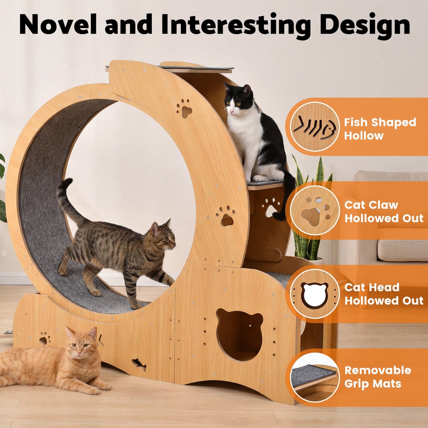 Advwin 4-in-1 Cat Exercise Wheel Large Cat Treadmill