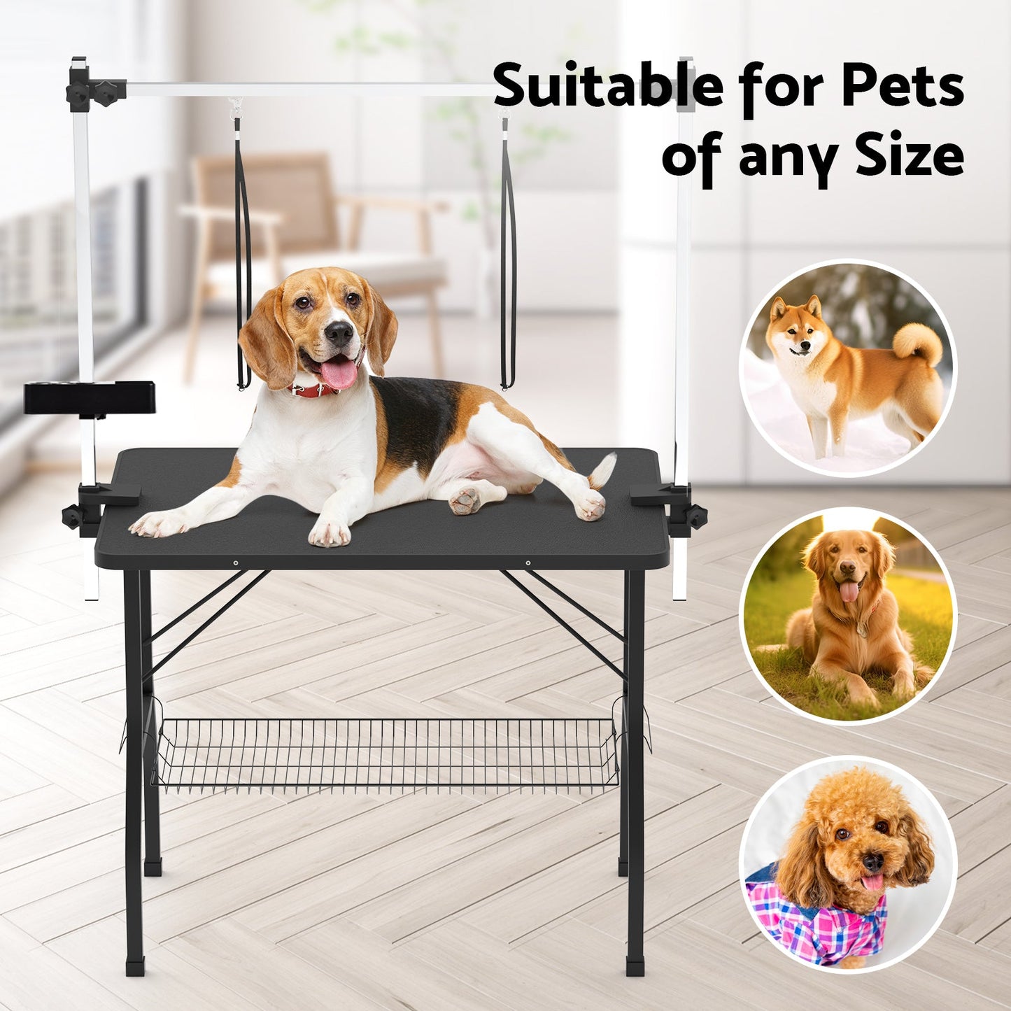 Advwin Dog Cat Pet Grooming Table 2 Loops