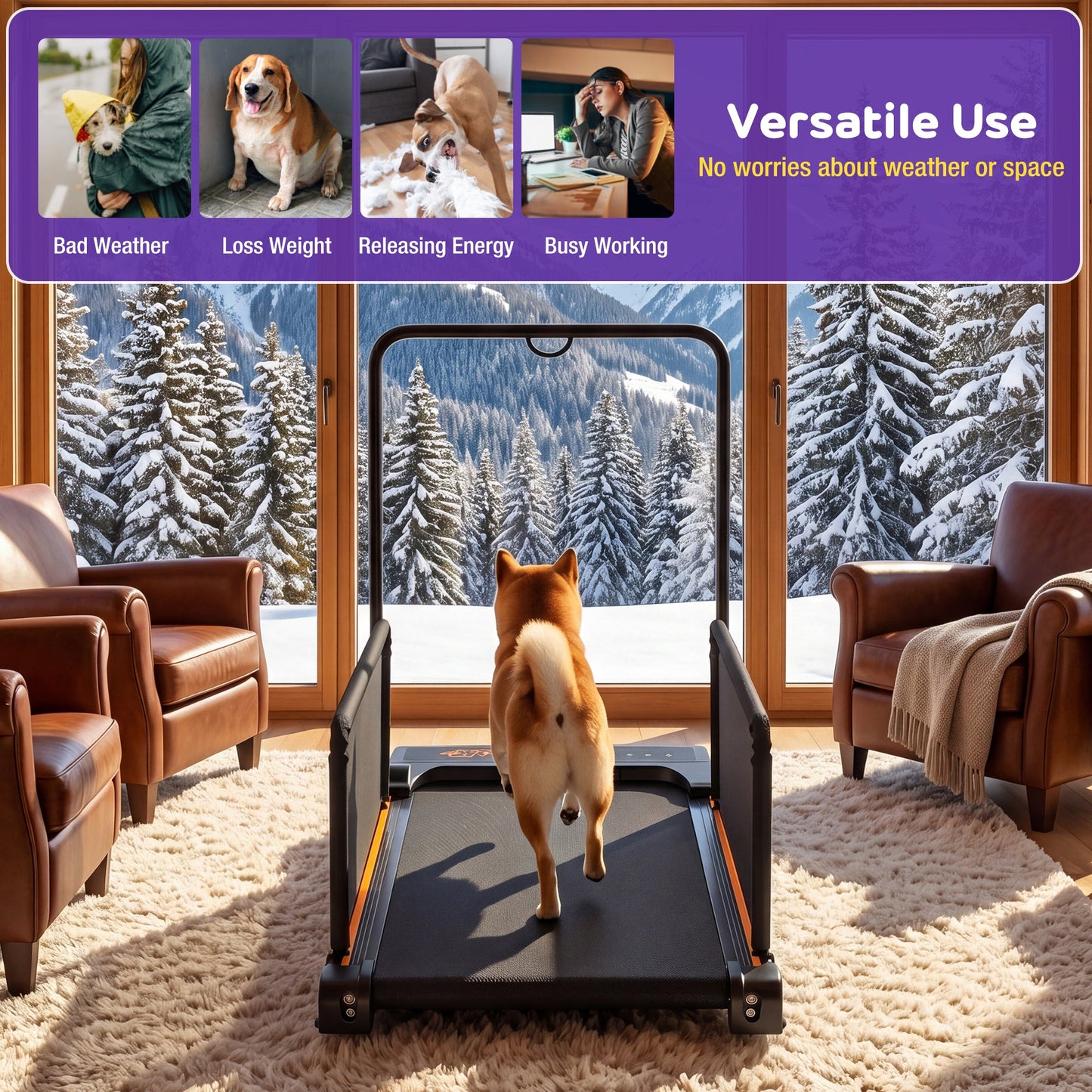 Advwin Dog Treadmill w/ 6° Incline & Adjustable Speed