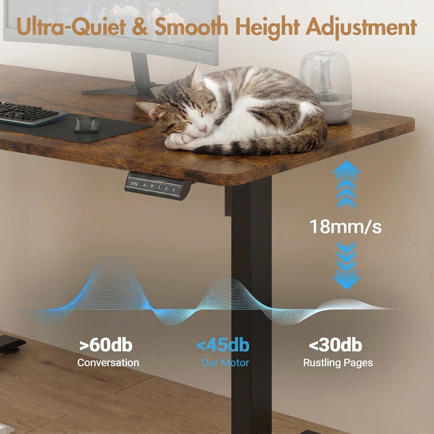 Advwin 120x60cm Electric Standing Desk Height Adjustable