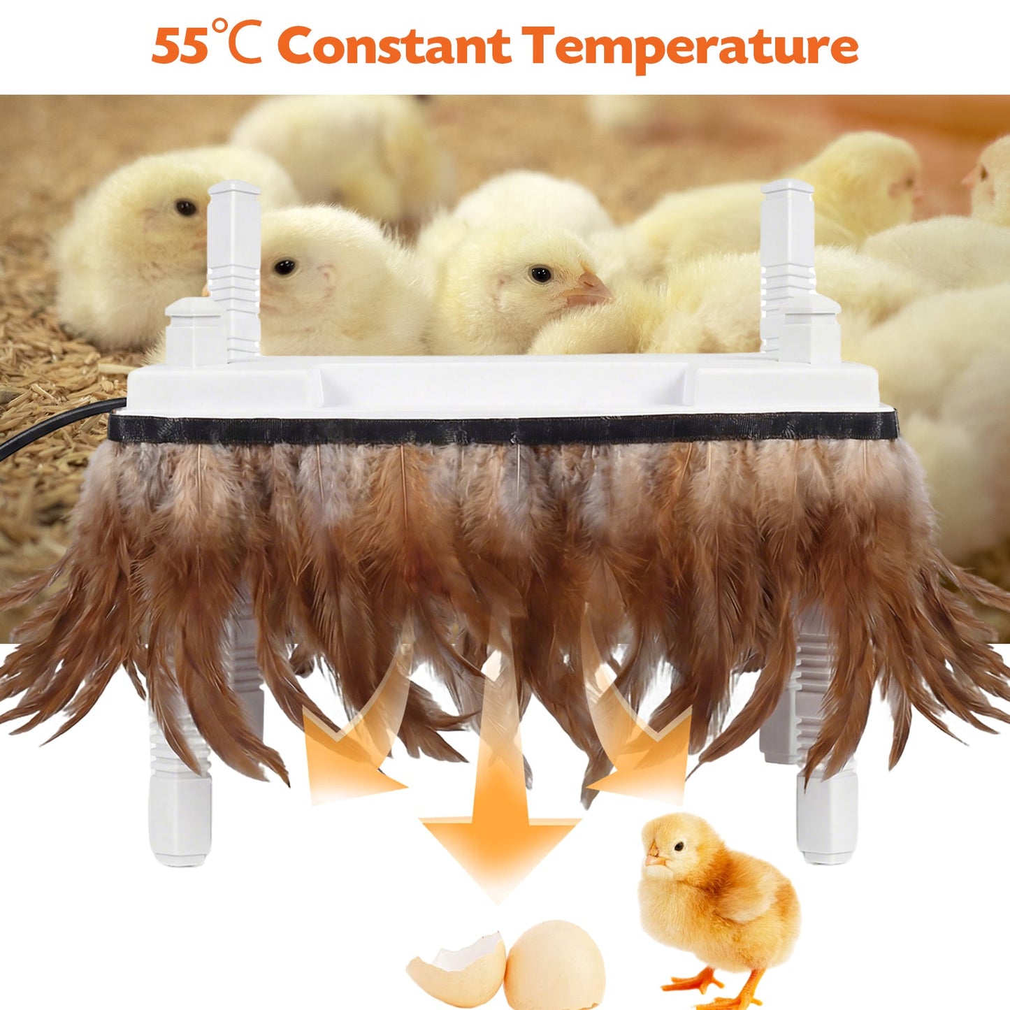 Advwin Chick Brooder Heating Plate