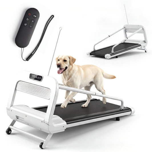 Advwin Dog Treadmill w/ Wide Belt for Small & Medium Dogs