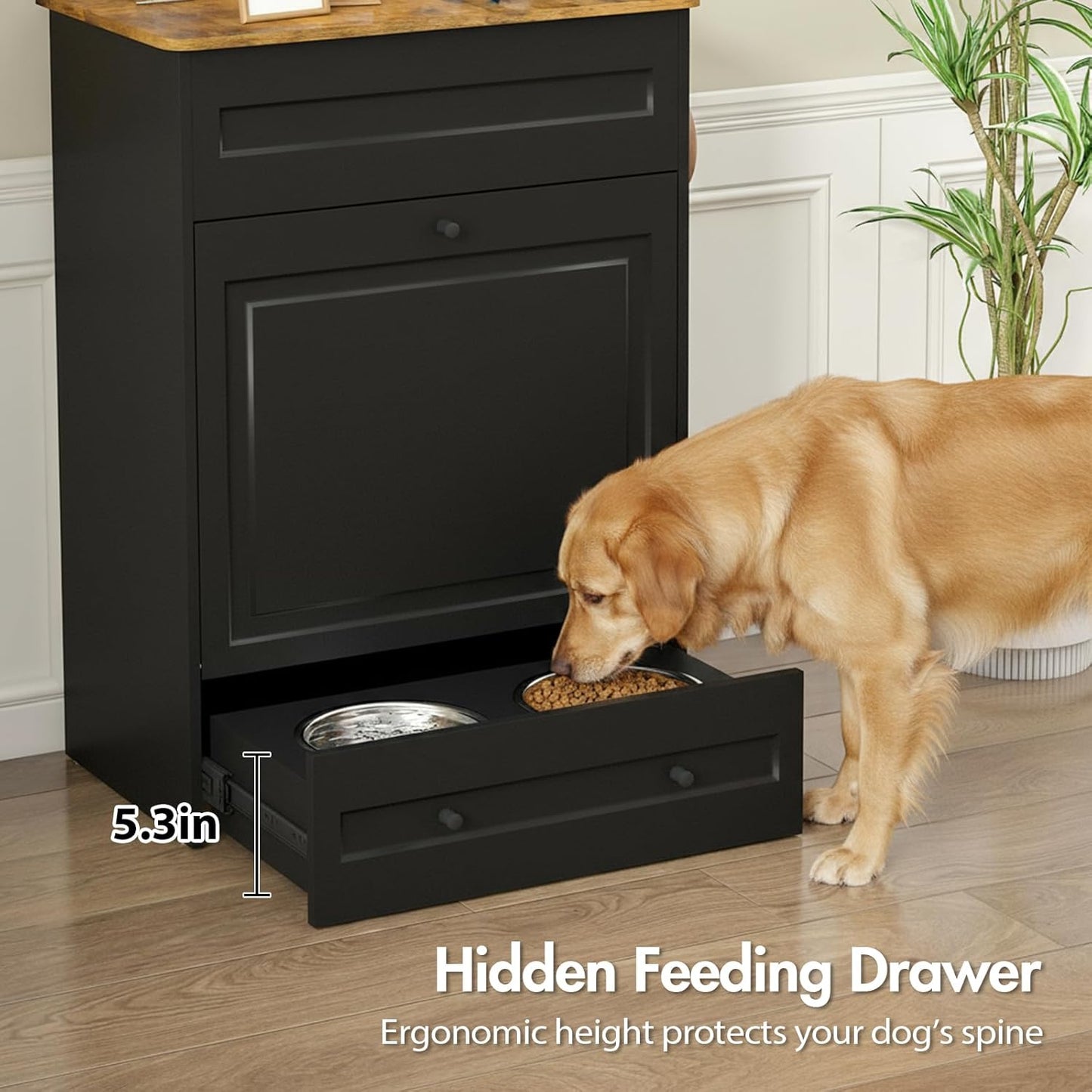 Advwin Dog Feeding Station with Storage & Steel Bowls