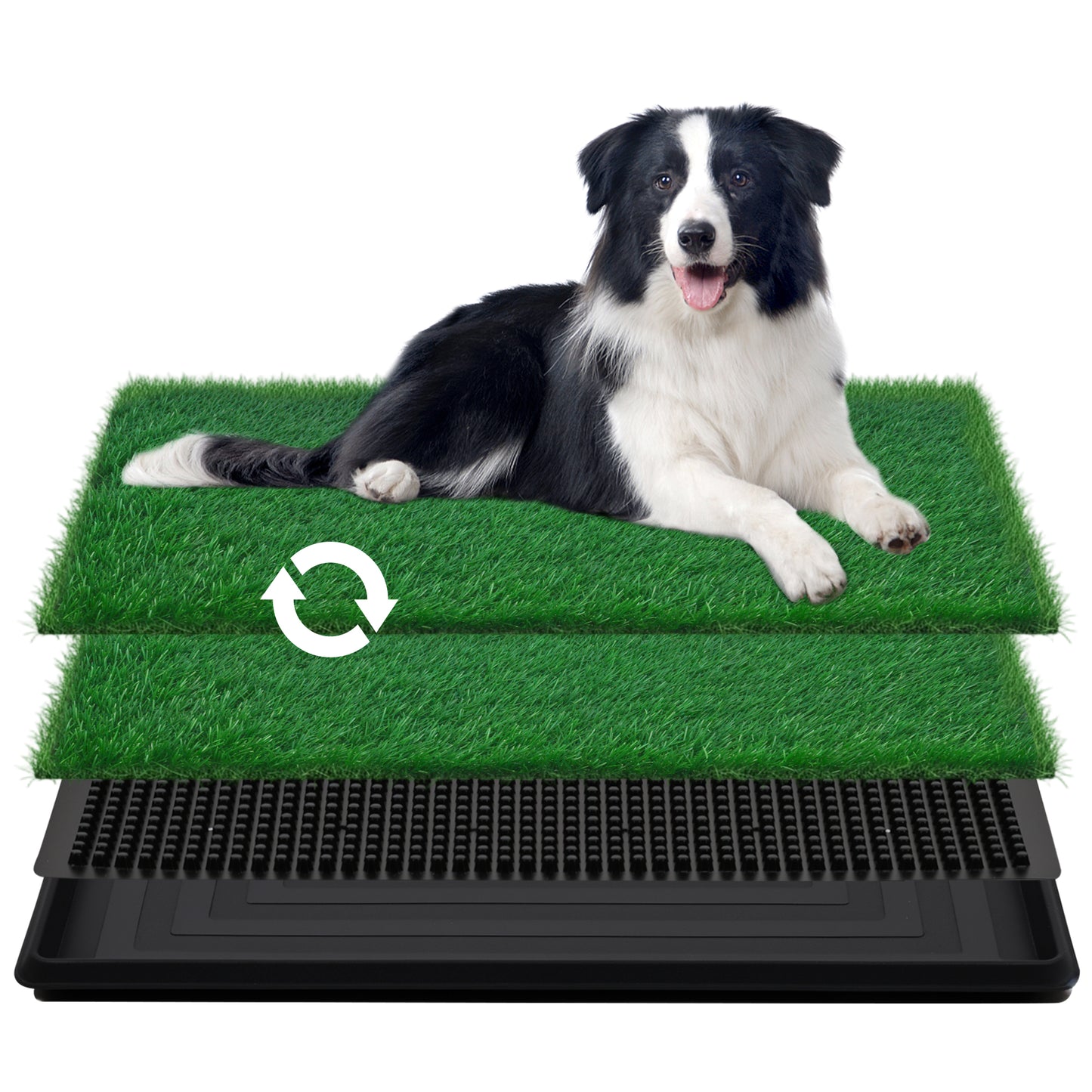 Advwin Dog Grass Pad with Tray