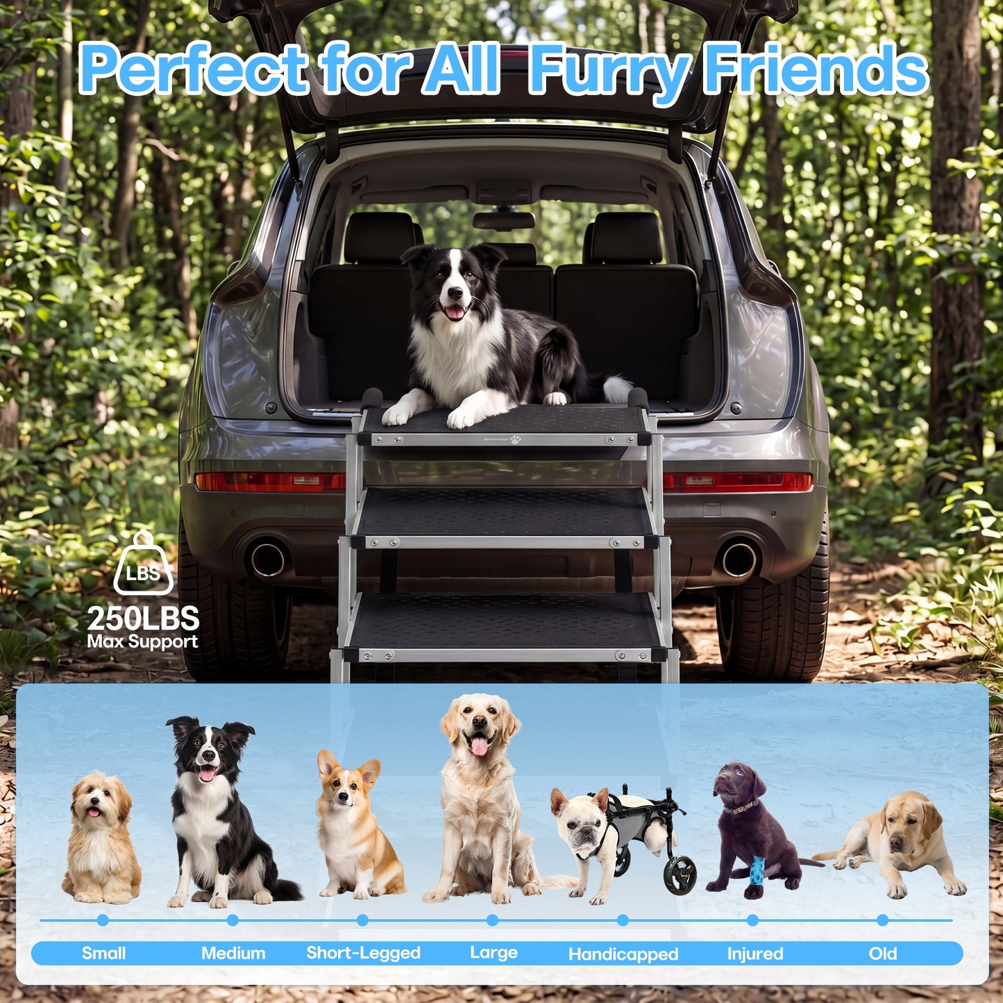 Advwin 5 Steps Dog Ramp for Car with Adjustable Height