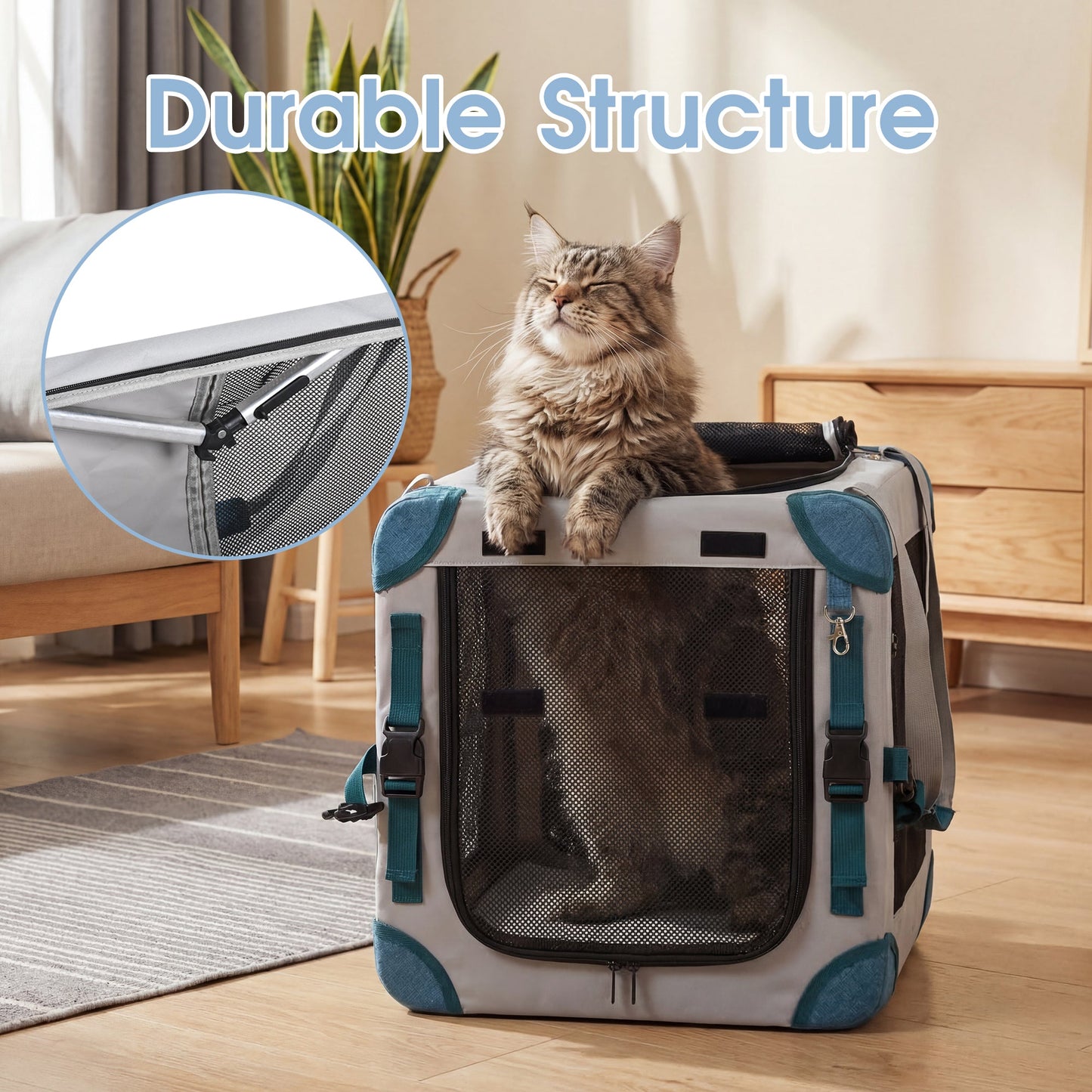Advwin Extra Large Collapsible Pet Carrier
