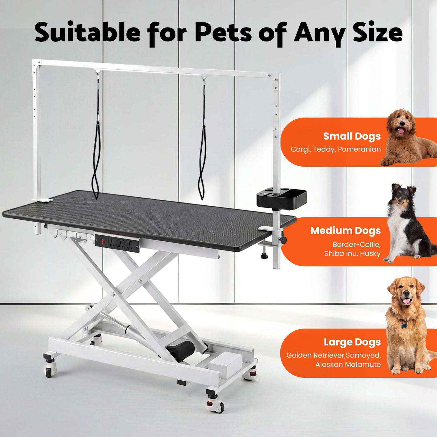 Advwin Electric Lift Dog Grooming Table w/ Charging Station