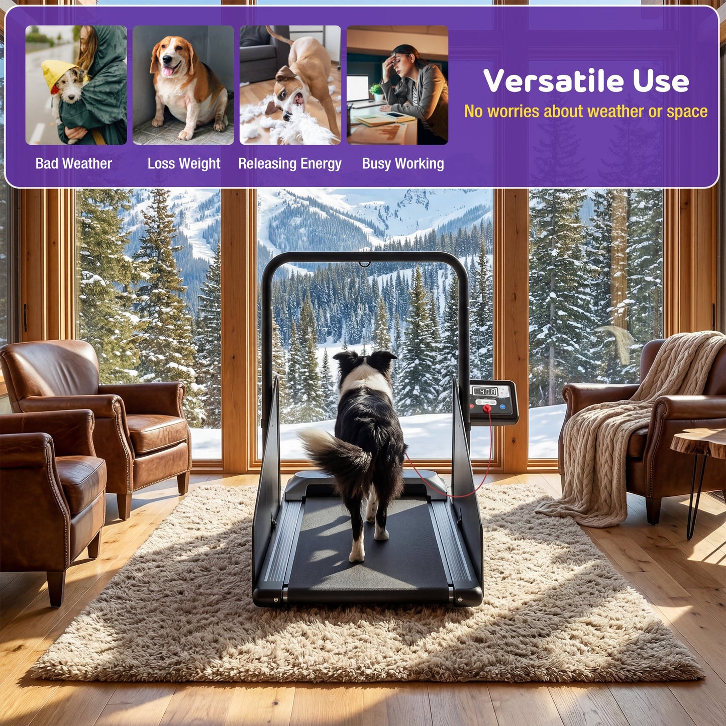 Advwin Indoor Pet Treadmill w/ 360° Rotatable Display