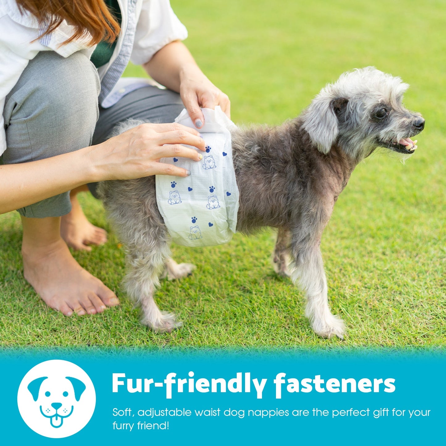 Advwin Disposable Dog Diapers for Male Dogs