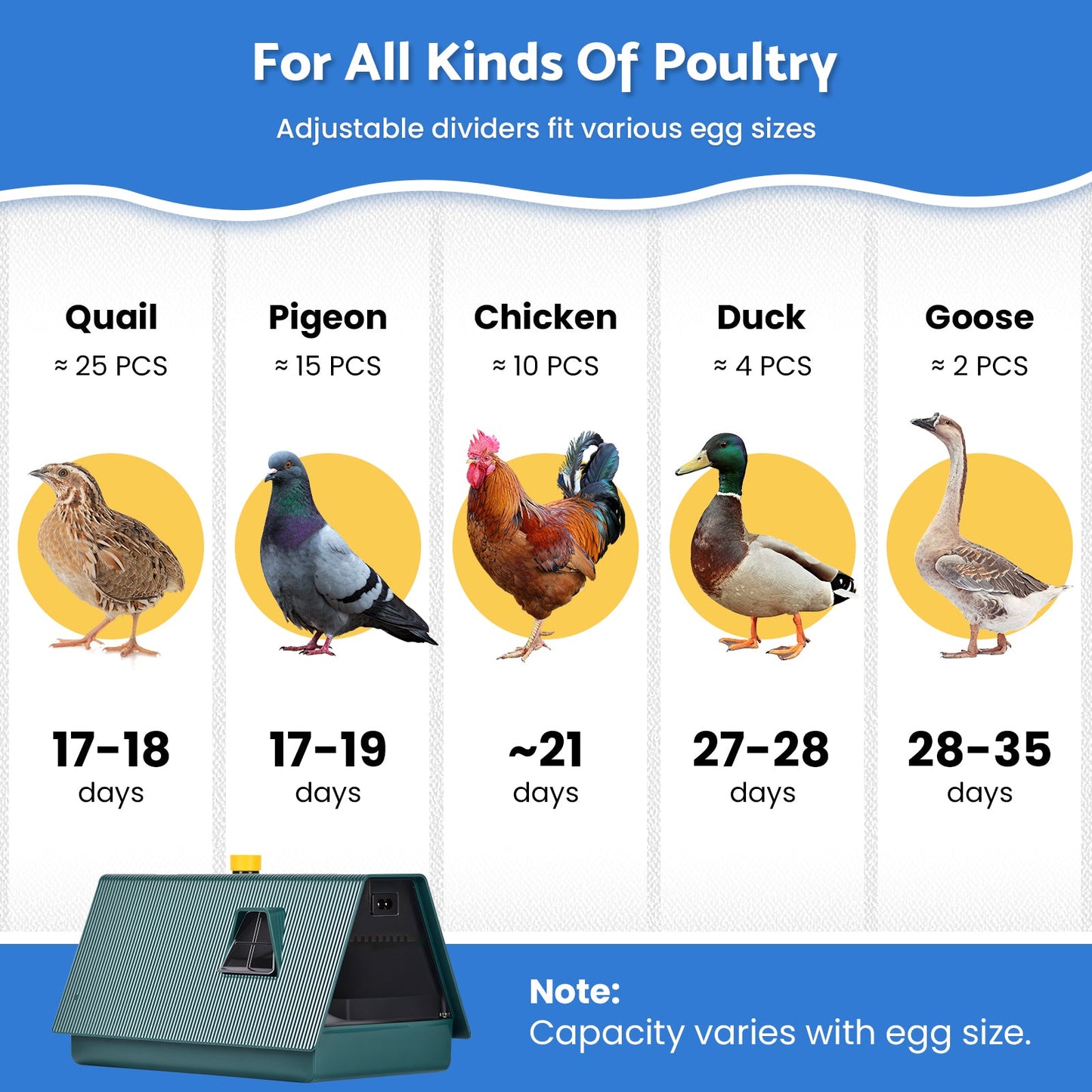 Advwin Incubators for Hatching Eggs
