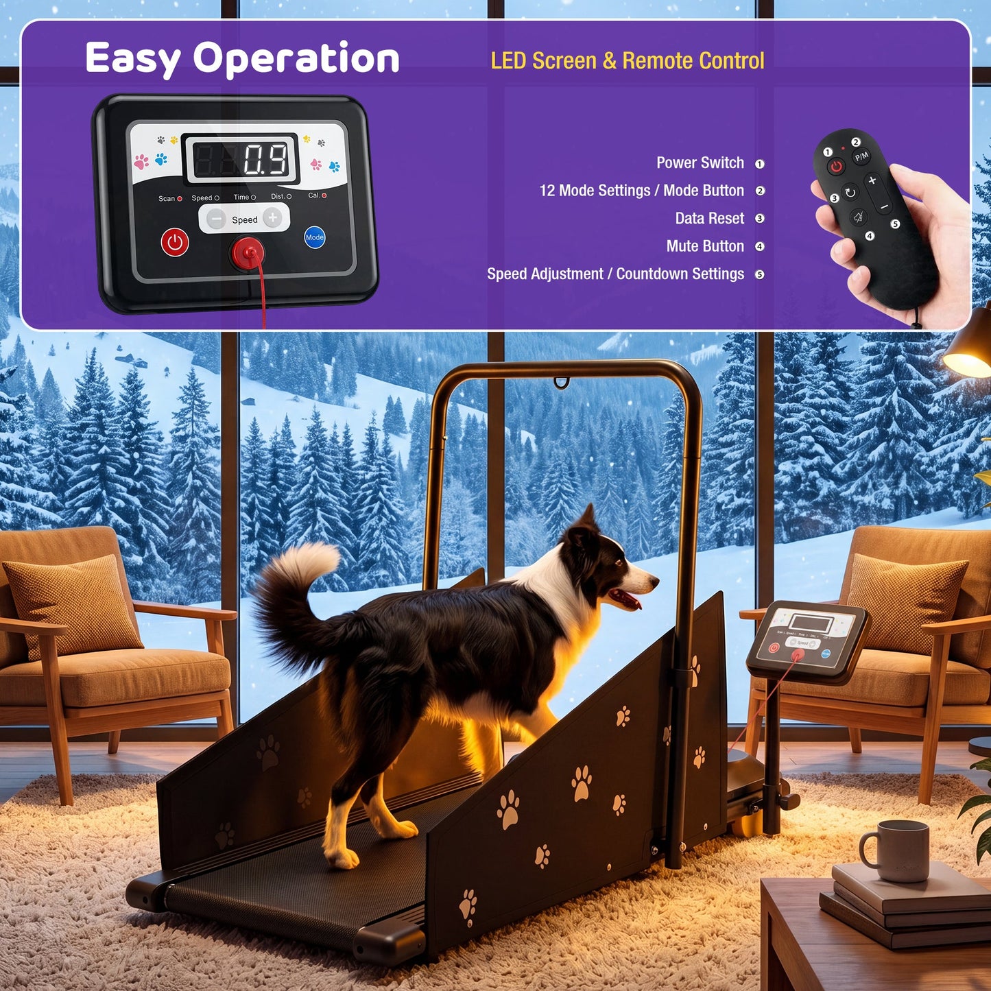 Advwin Indoor Pet Treadmill w/ 360° Rotatable Display
