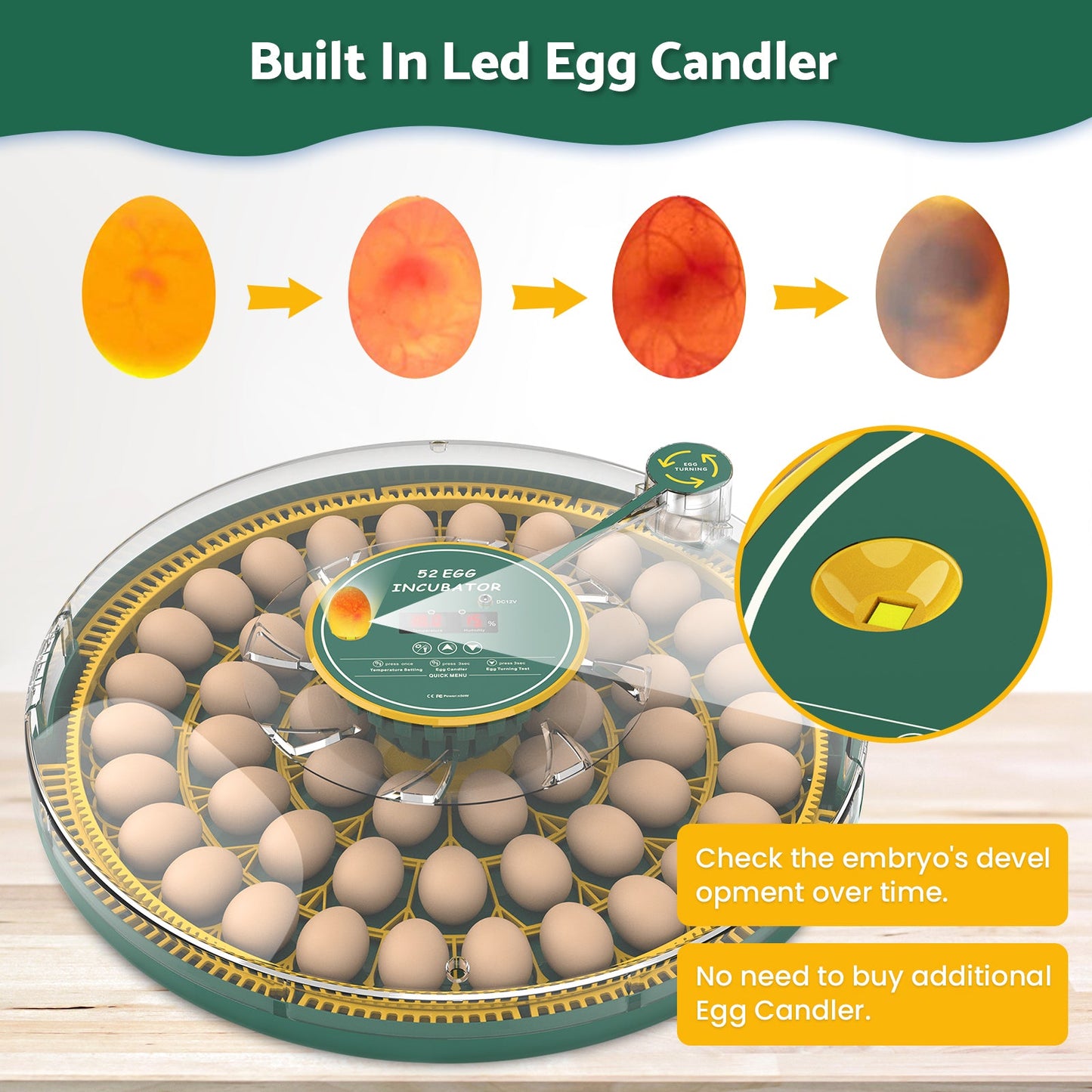 Advwin 52 Eggs Incubator with Temperature Control