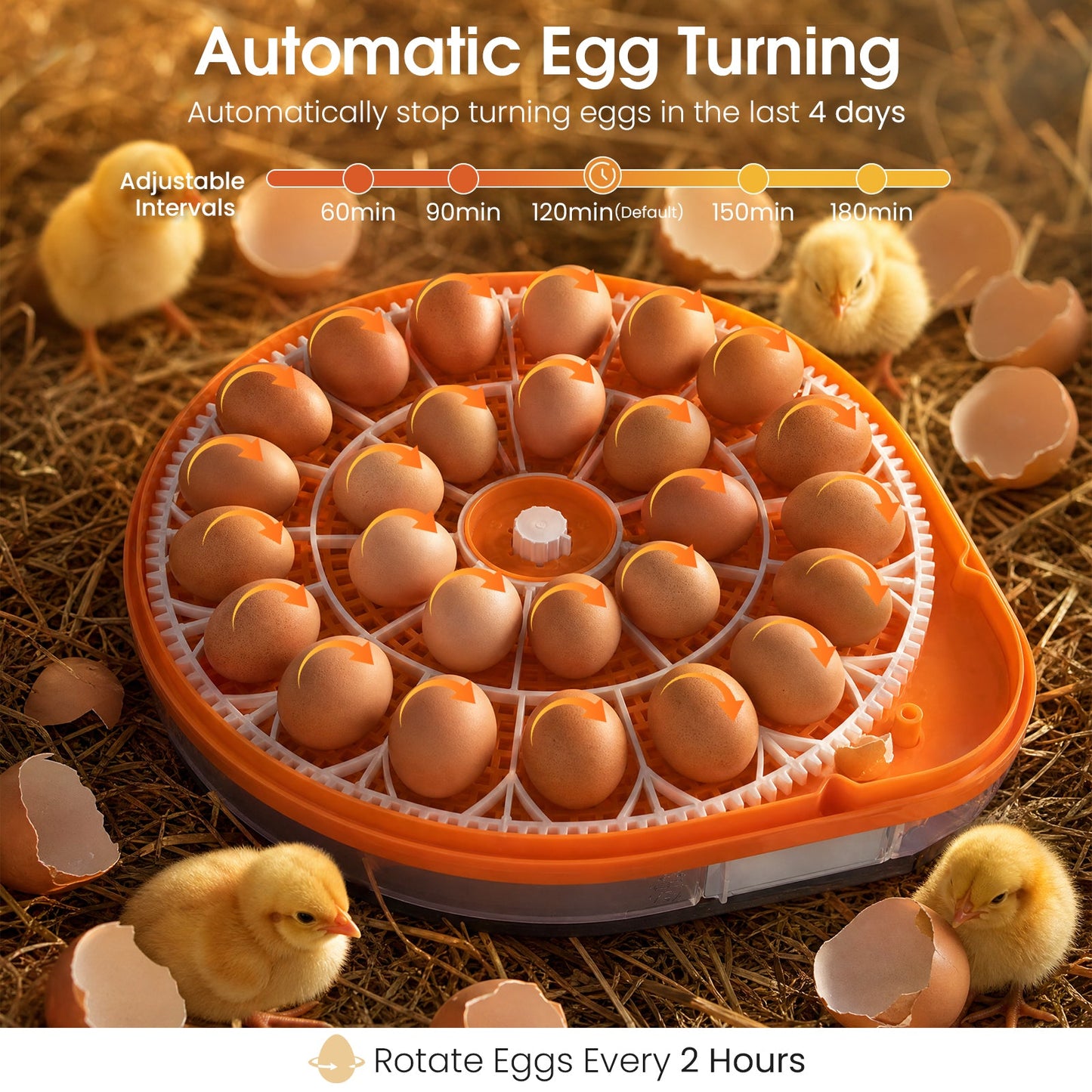 Advwin 26 Eggs Incubators with Smart Voice Control