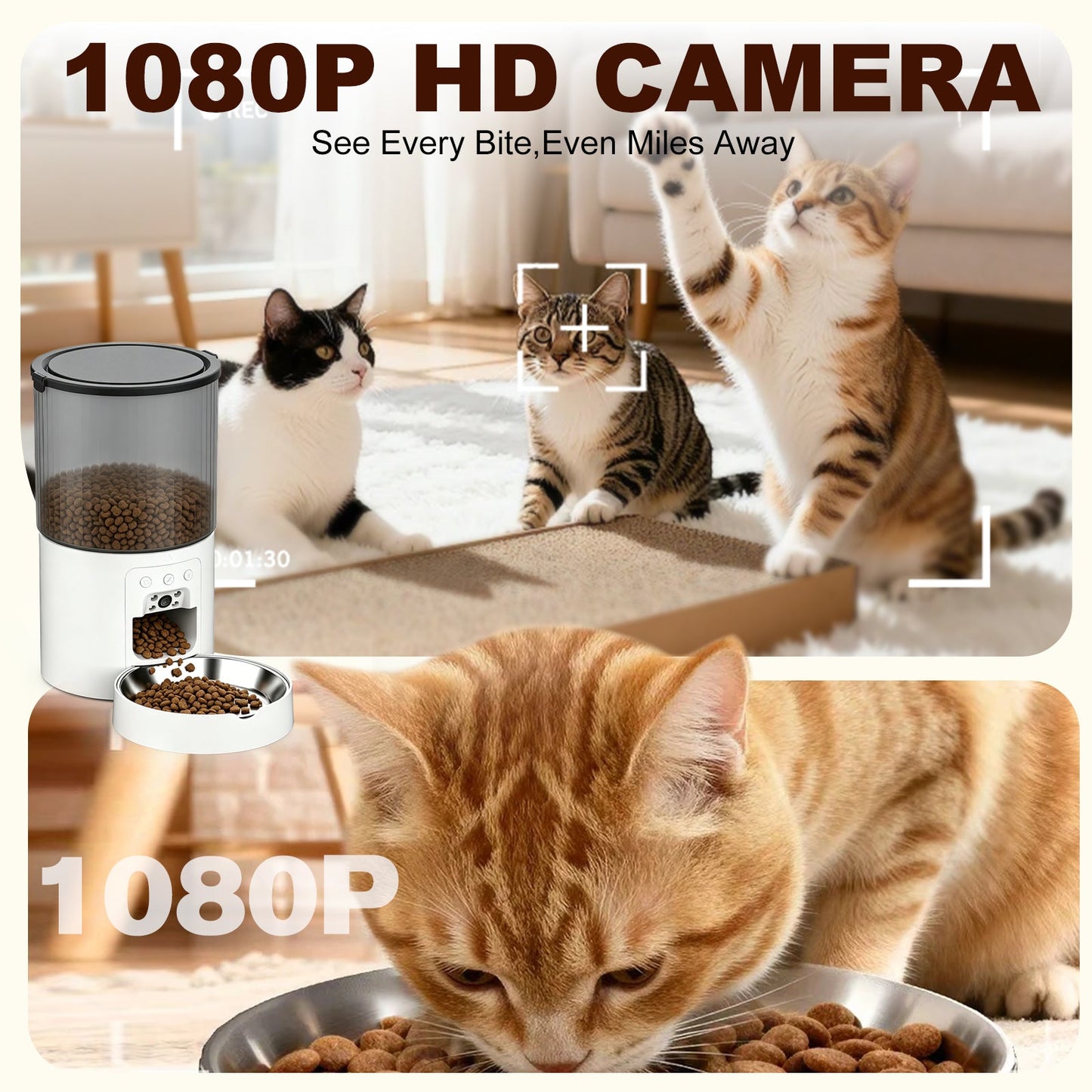 Advwin 4L Automatic Cat Feeder with 1080P HD Camera