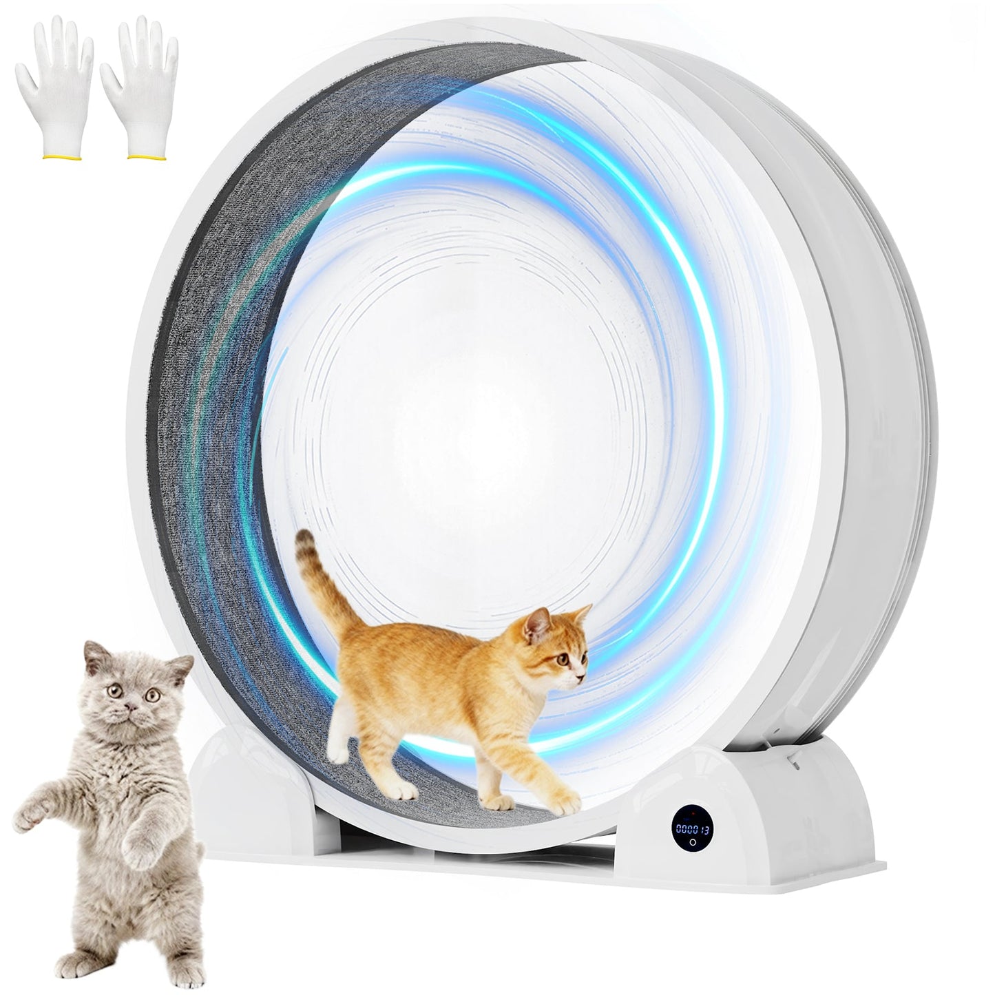 Advwin Cat Exercise Wheel with Digital Counter Display
