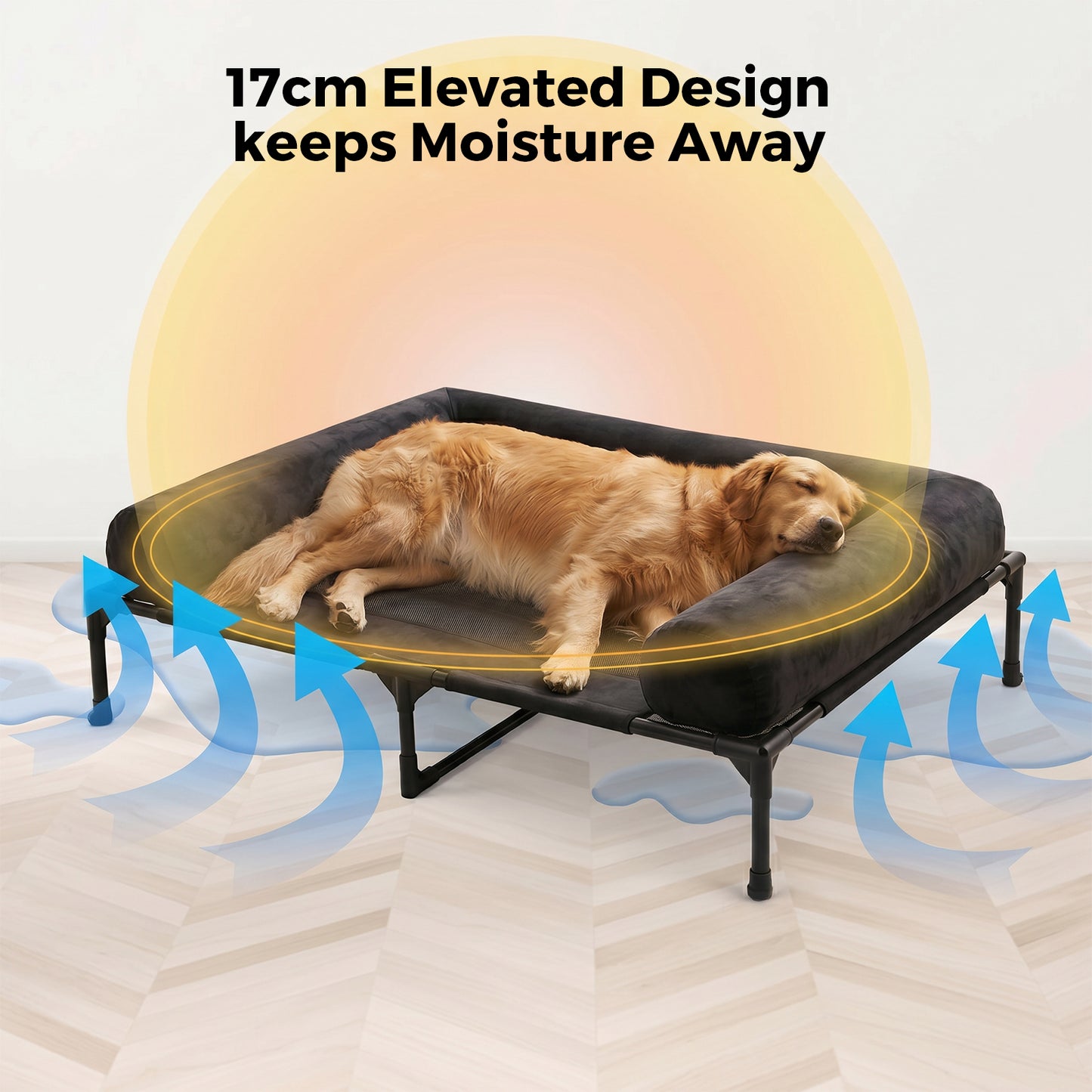 Advwin Elevated Dog Bed with Bolster Black
