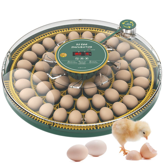 Advwin 52 Eggs Incubator with Temperature Control