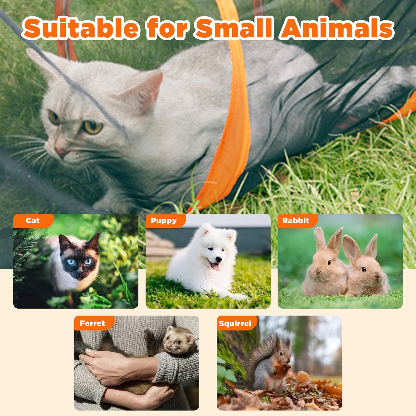 Advwin 6-in-1 Outdoor Cat Enclosure with Playhouse & Tents