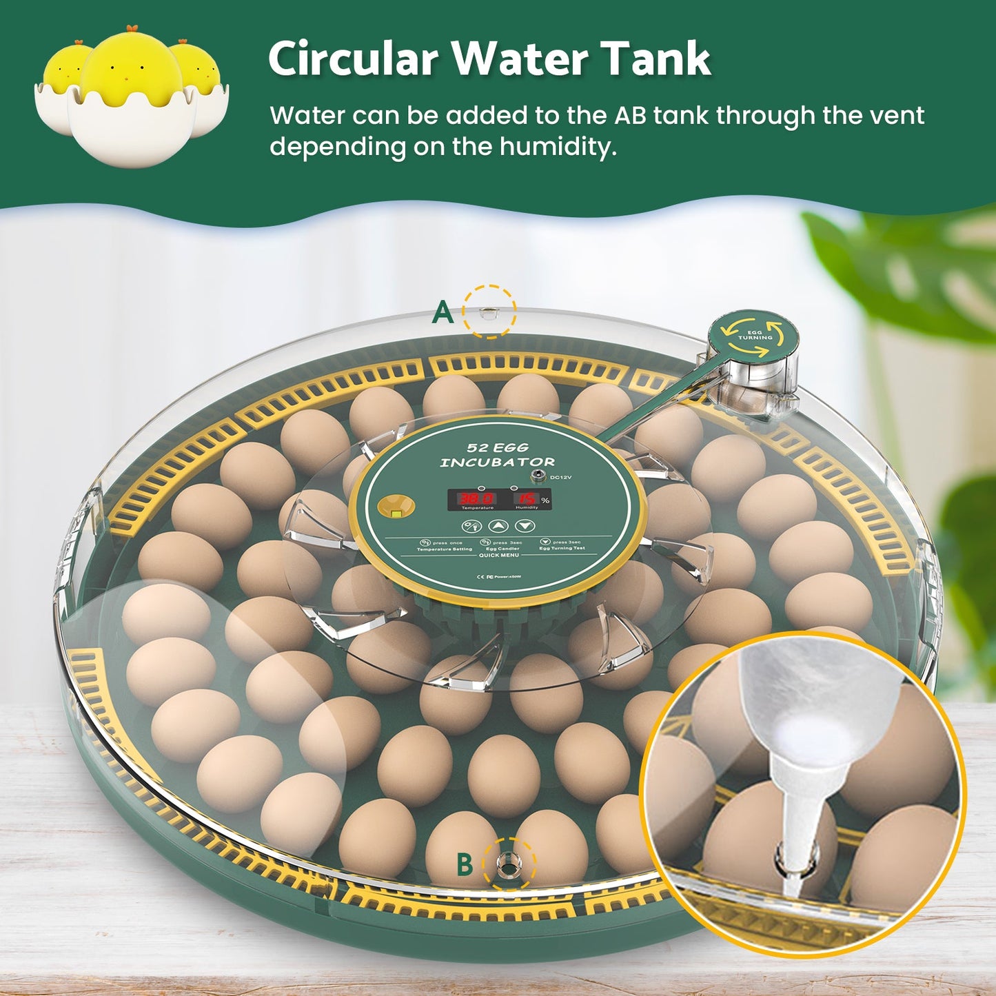 Advwin 52 Eggs Incubator with Temperature Control