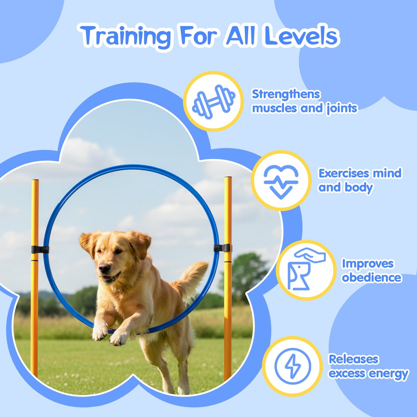 Advwin Dog Agility Equipment Obstacle Course Backyard Set
