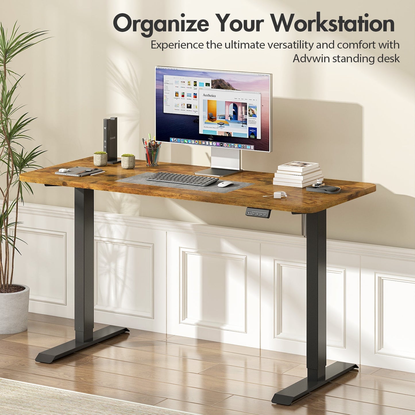 Advwin Electric Standing Desk with Memory Lifting 120cm
