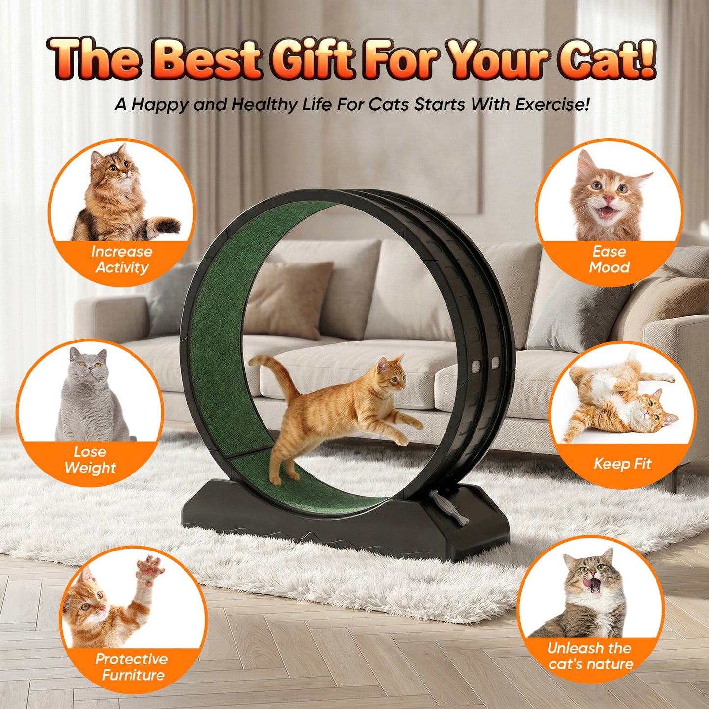 Advwin Cat Running Exercise Wheels with Latch