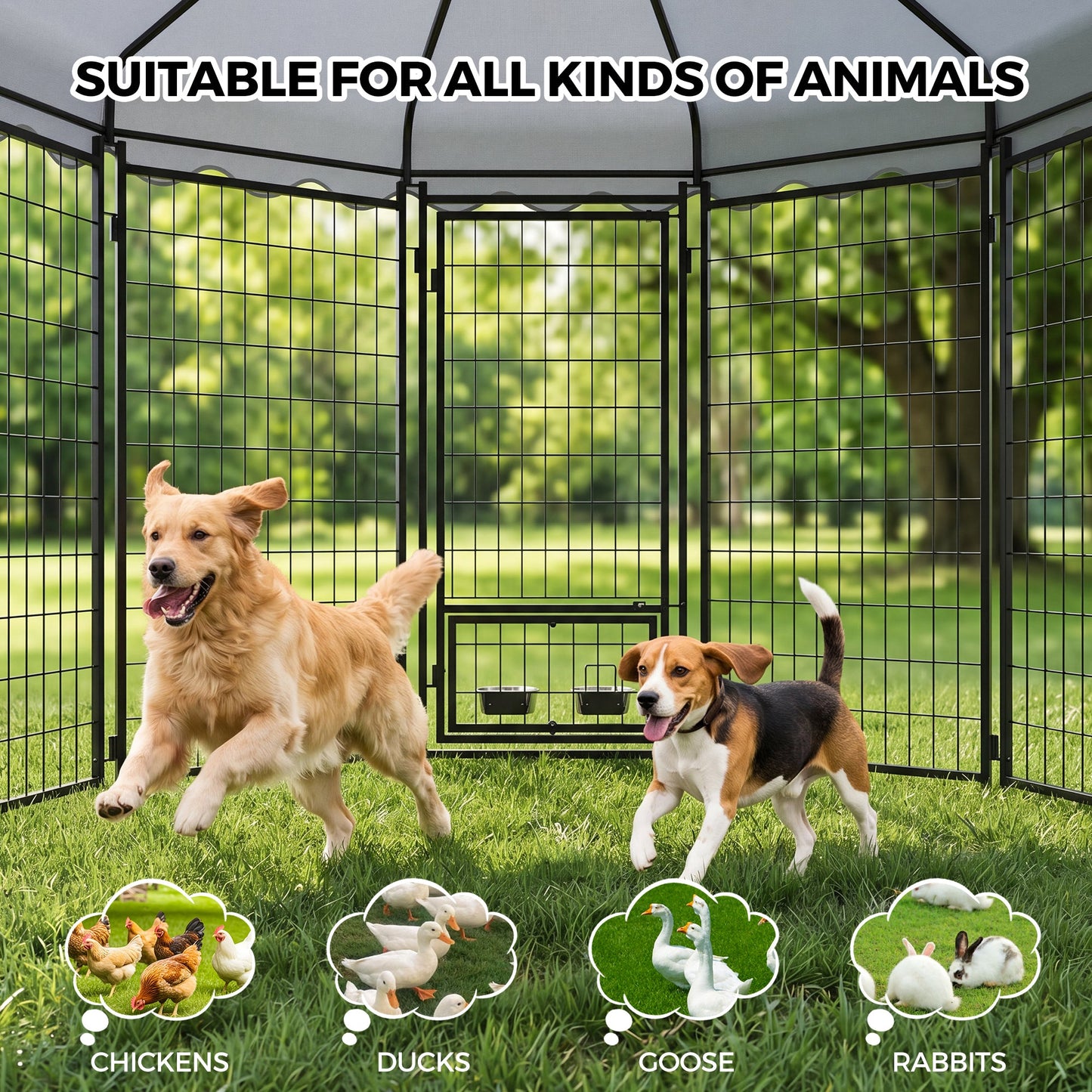 Advwin Heavy Duty Outdoor Dog Kennel with Roof