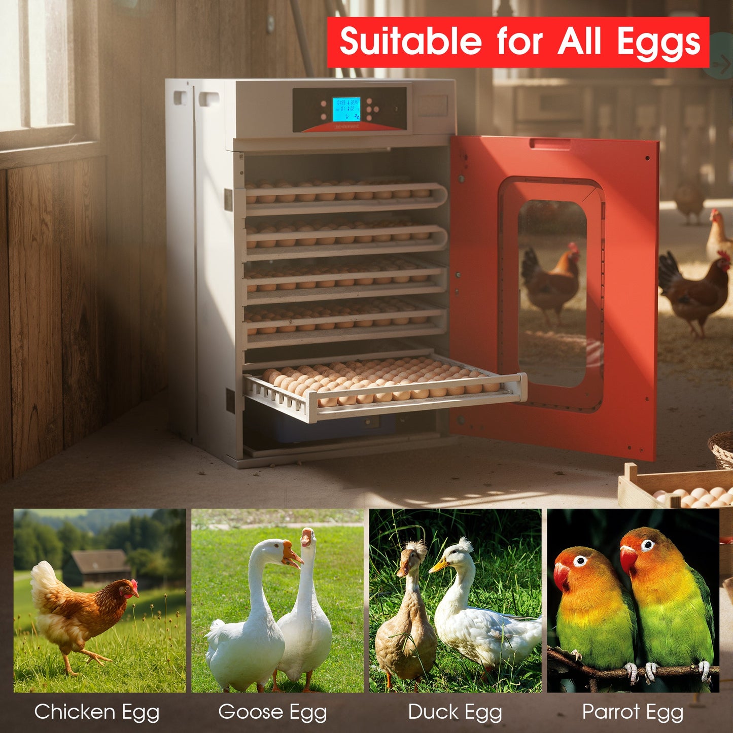 Advwin 400 Eggs Incubator Commercial Automatic Incubator
