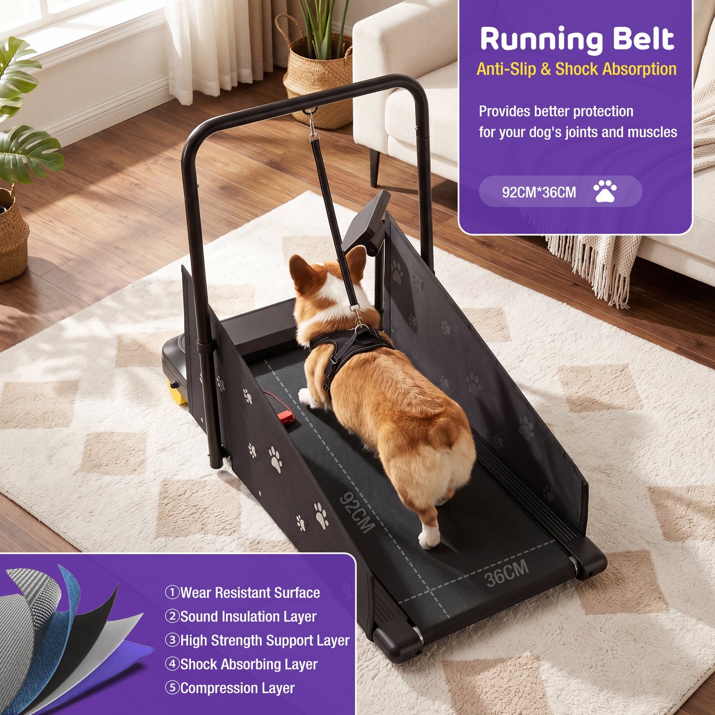 Advwin Indoor Pet Treadmill w/ 360° Rotatable Display