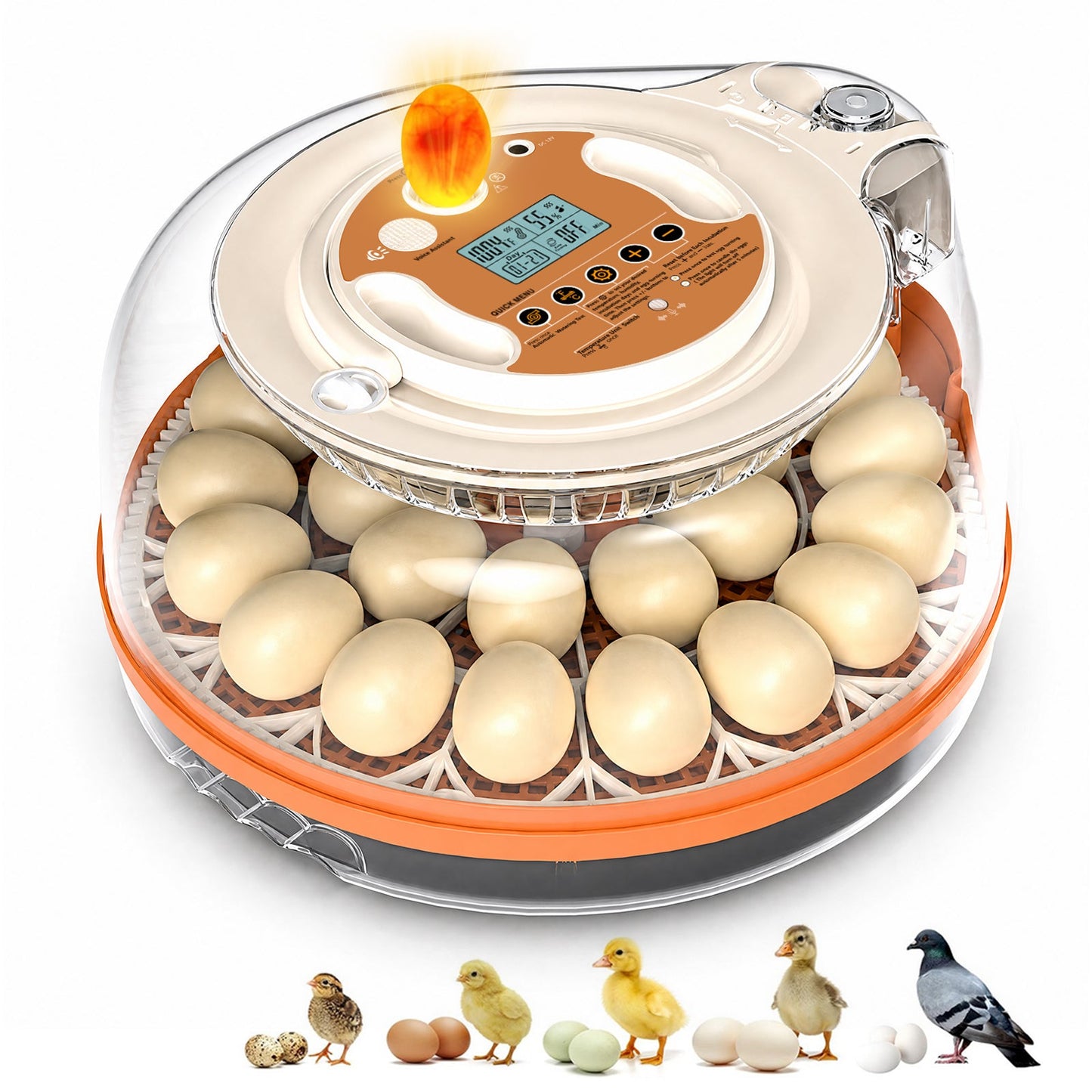 Advwin 26 Eggs Incubators with Smart Voice Control