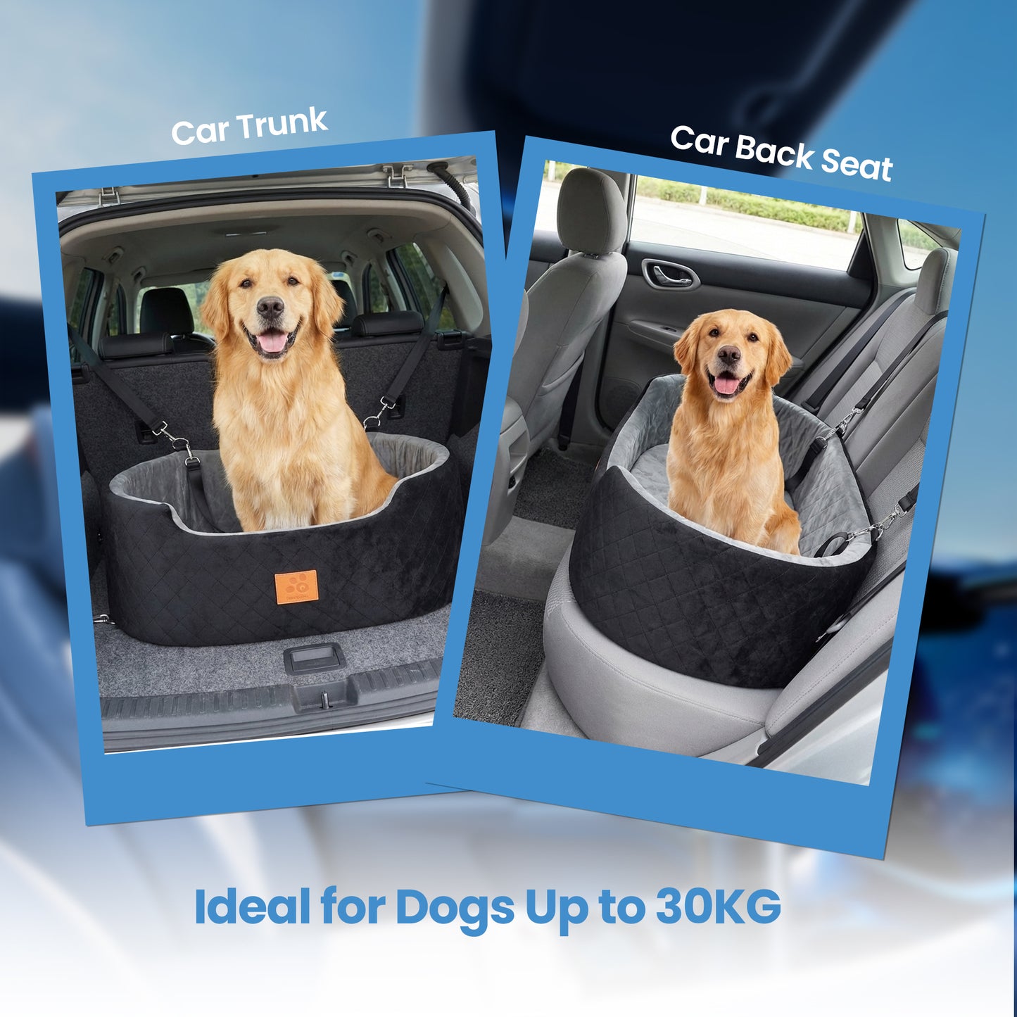 Advwin Washable Dog Car Seat for Small/Medium Dogs