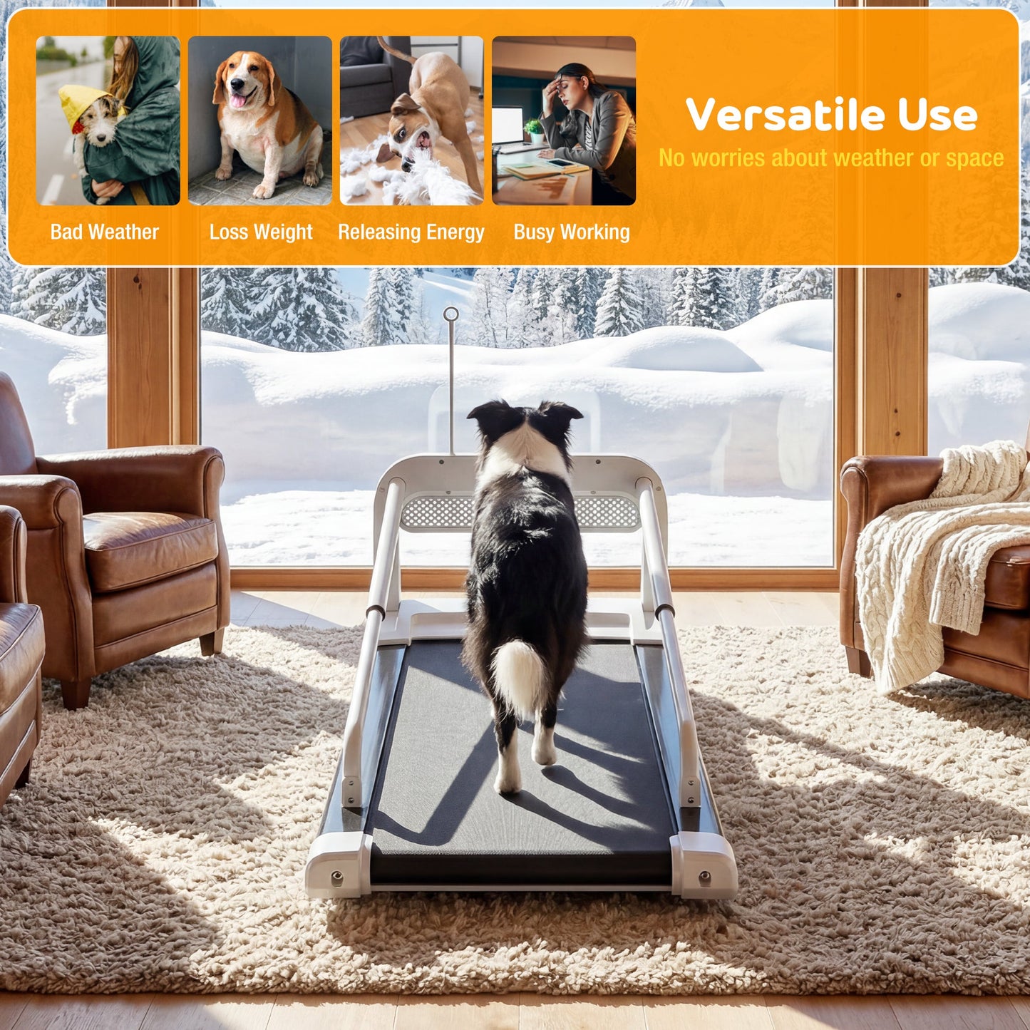 Advwin Dog Treadmill w/ Wide Belt for Small & Medium Dogs